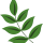 zinc-chloride-for-sale-leaves-scaled-1.png